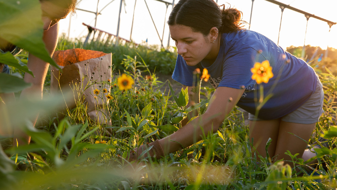 Students working with flowers in greenhouse