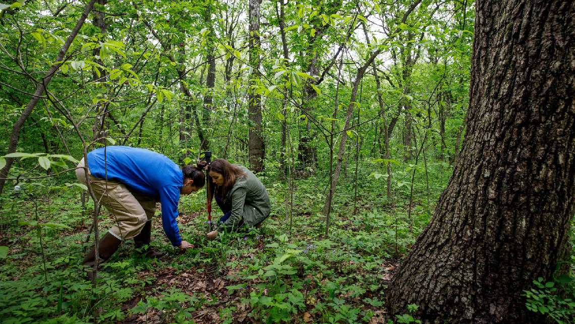 Students collect samples in forest