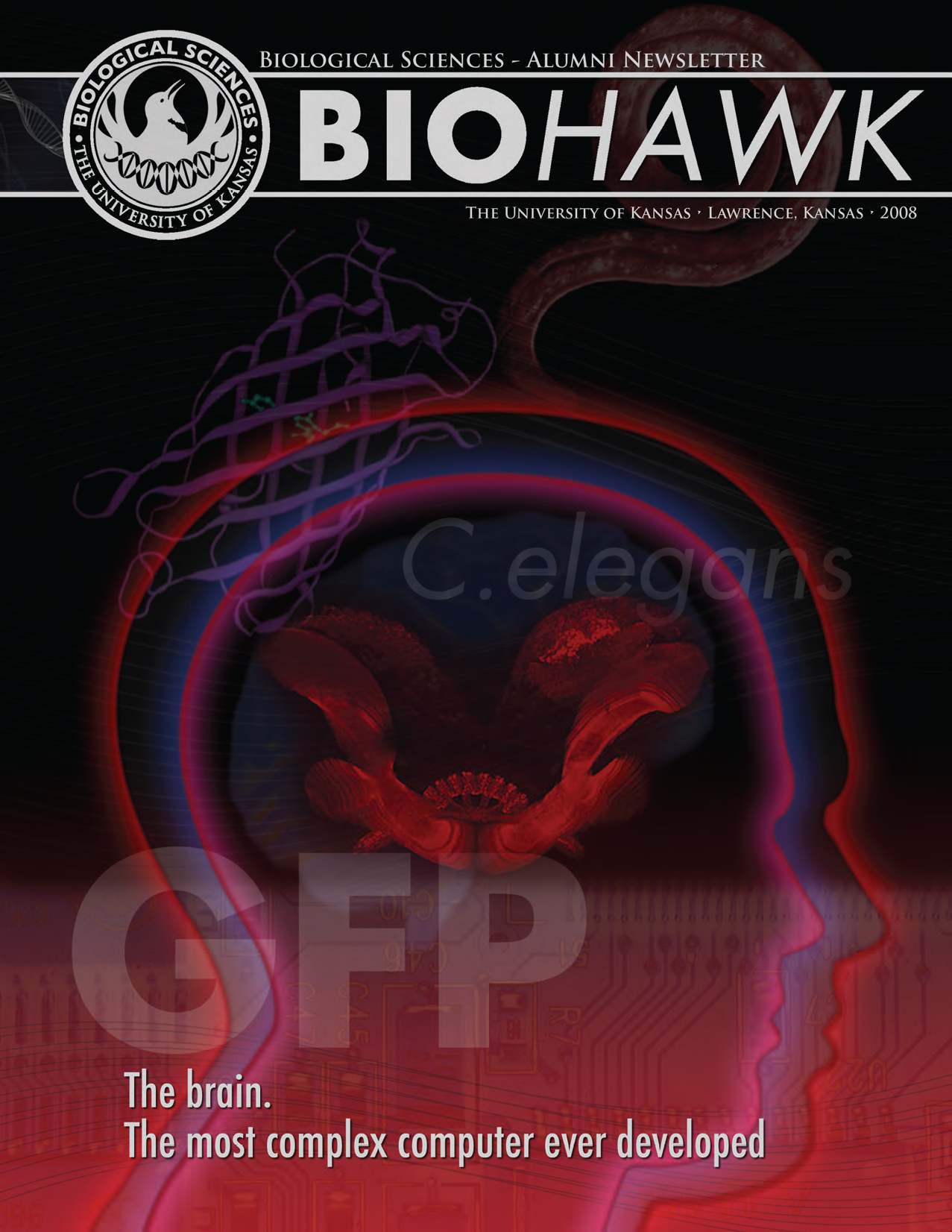 Magazine cover showing the outline of a human head and the text "The Brain. The most complex computer ever developed."