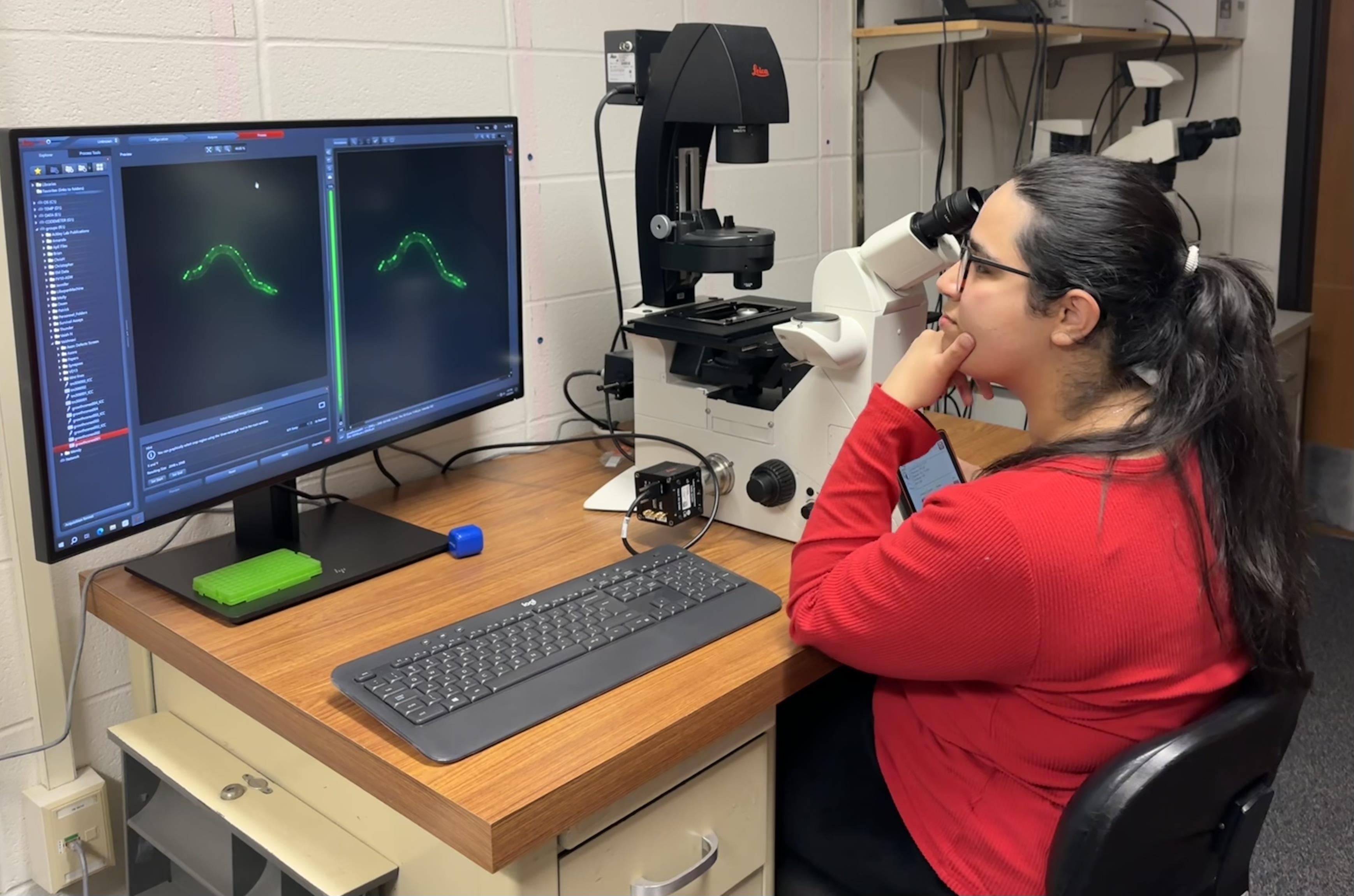 Undergraduate Biology Student Researcher: Laiba Ashraf | Biology