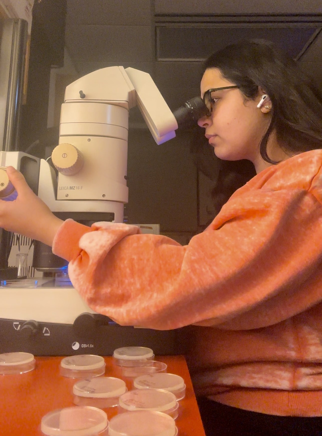 Undergraduate Biology Student Researcher: Laiba Ashraf | Biology