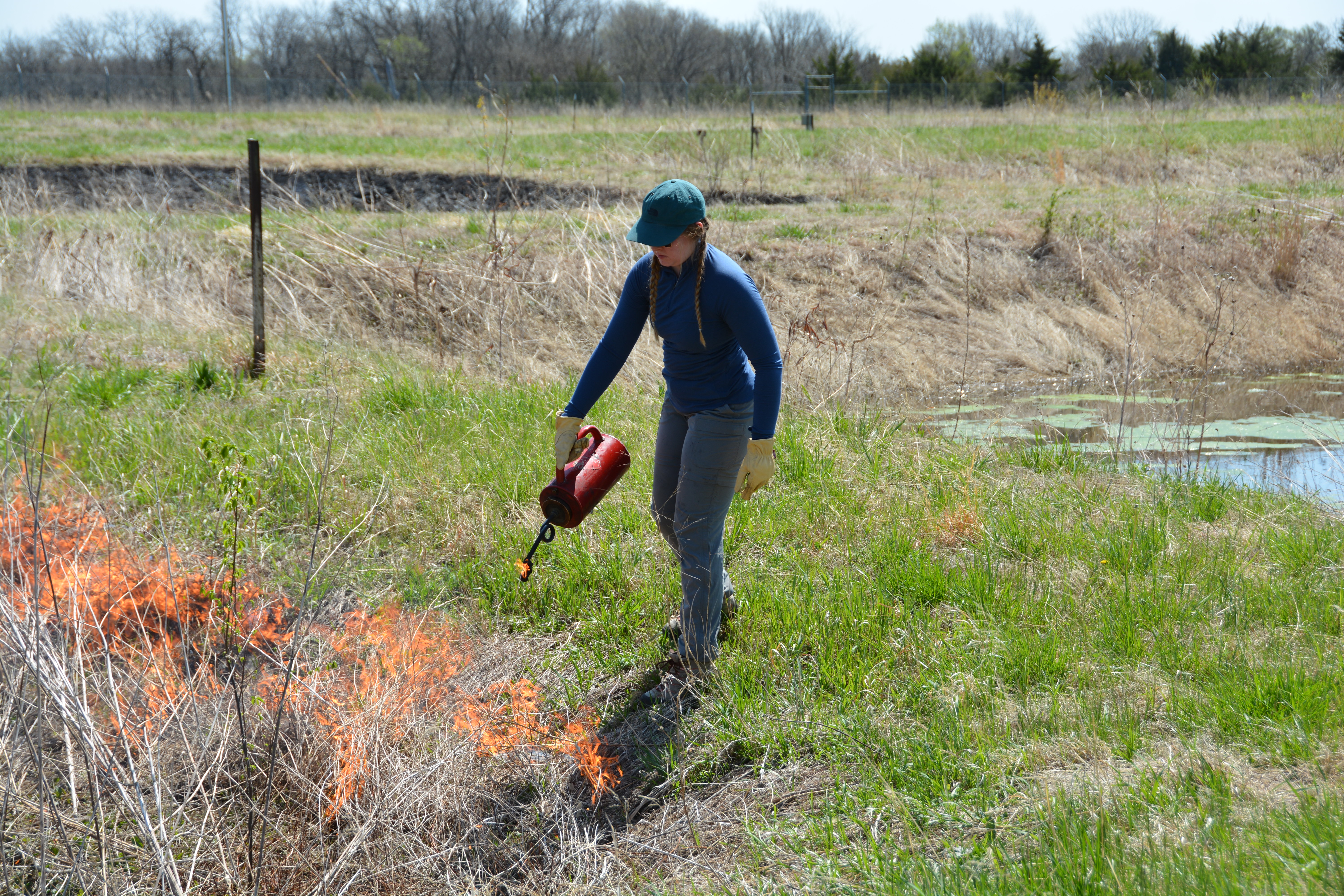 Adeline preparing her ponds burned area with a blow torch