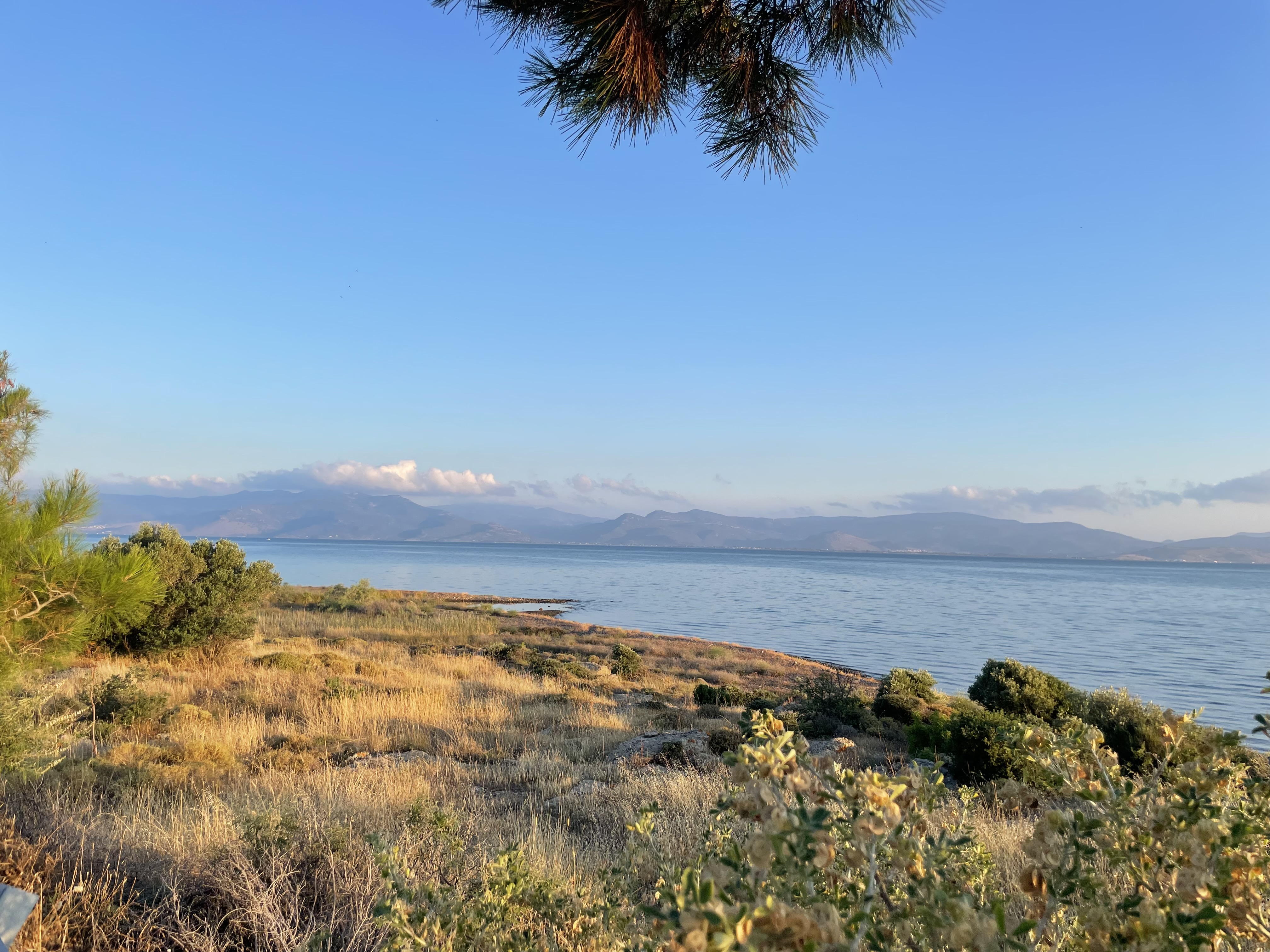 Landscape photo of a field site in Greece, the scrubland butts up against the sea and you can see distant mountains of a separate island.