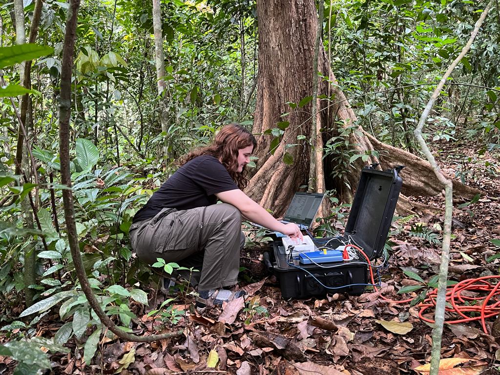 Rachel Manweiler, running field tests in Barro Island forests